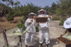 bee-tour-8